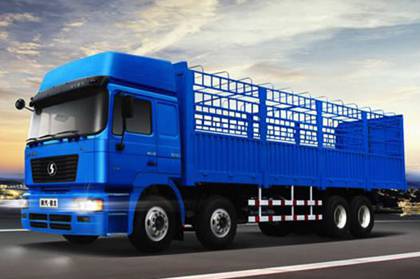 SHACMAN Cargo Truck 8x4 SX1314JM406